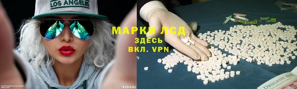 стаф Абдулино