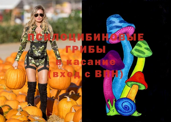 стафф Абинск