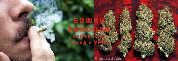 марихуана Абаза