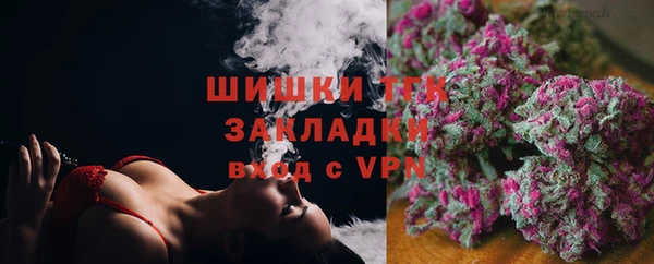 не бодяженный Каменногорск